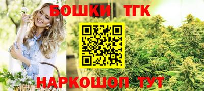 шишки Будённовск