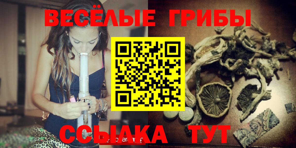 Подольск  Галлюциногенные грибы Psilocybine cubensis  Вход с VPN 