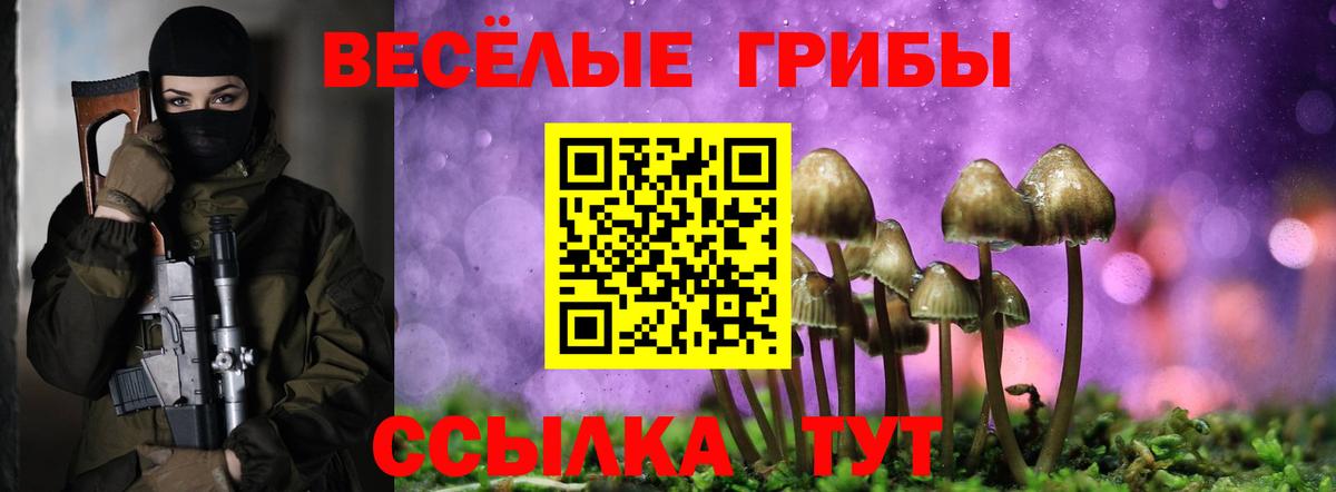 Галлюциногенные грибы прущие грибы Подольск
